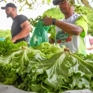 1ª Feira da Agrocultura Familiar é marcada por sucesso de público e valorização do agricultor local