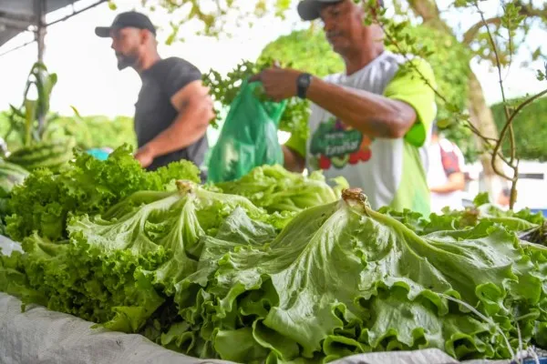 1ª Feira da Agrocultura Familiar é marcada por sucesso de público e valorização do agricultor local
