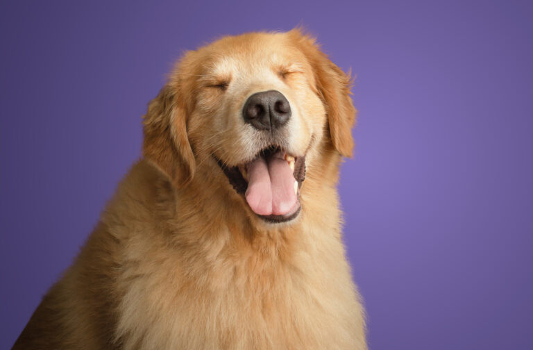 AdobeStock 1592588254
