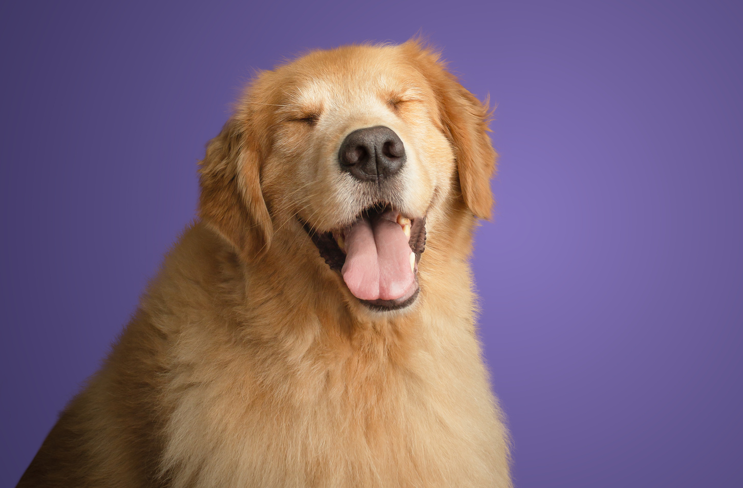 AdobeStock 1592588254