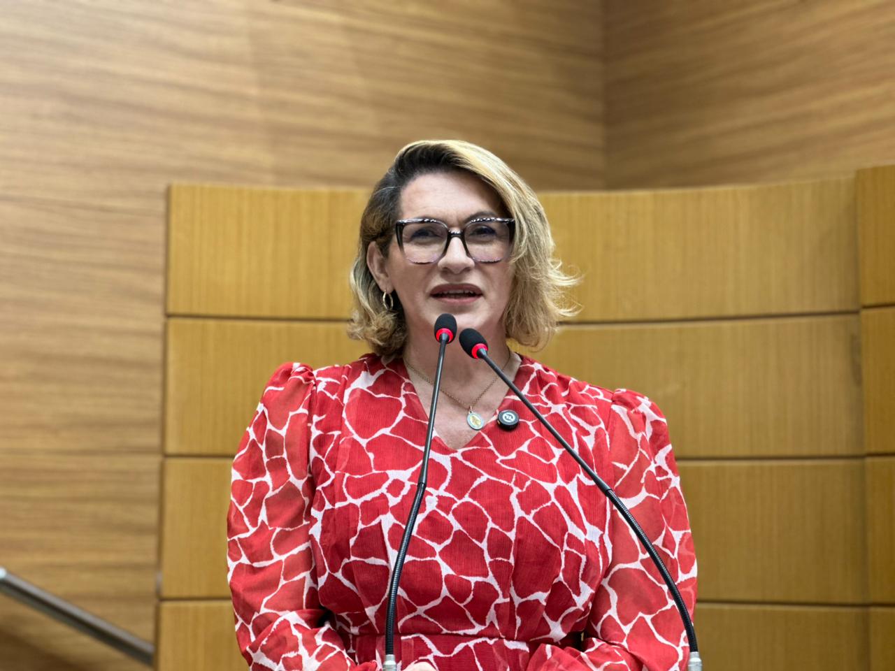 DEPUTADA LINDA BRASIL DIVULGACAO ASCOM 3