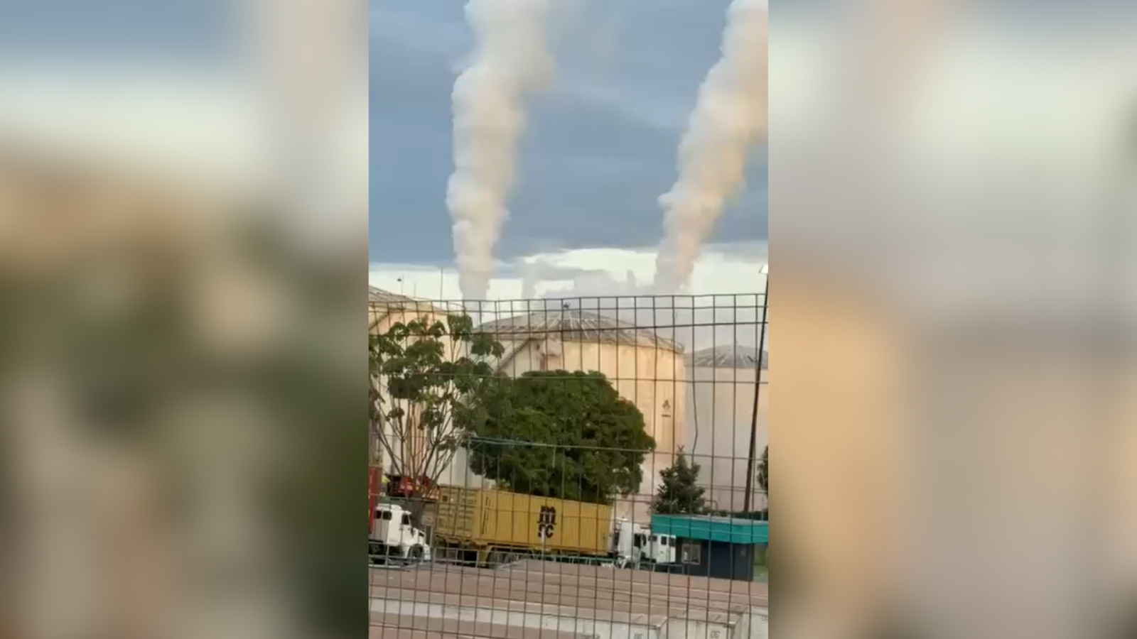 g s t xico mata idoso e intoxica 148 em manaus empresa multa 20260717