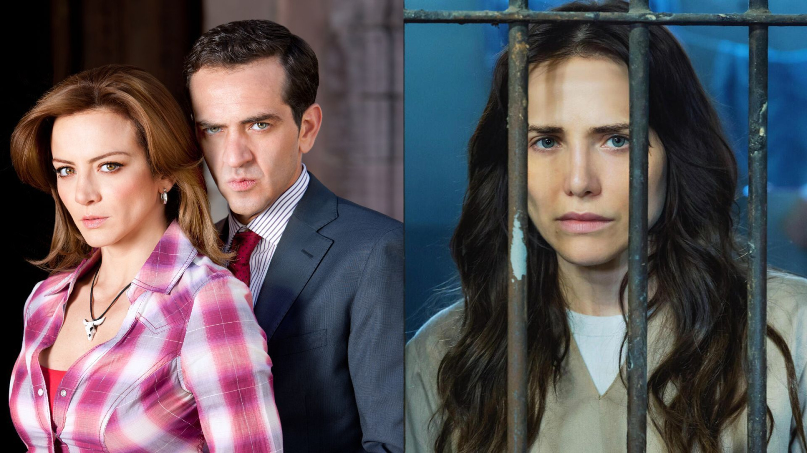 Cadela de novela alerta tutores sobre sinais de albinismo em cães