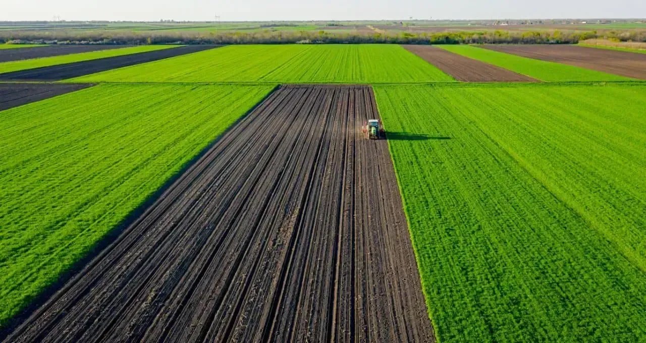 Nutriplant corta custos, lucra R$ 538 mil e vê receita cair 34%