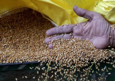 USDA coloca mercado de grãos em alerta após queda em Chicago