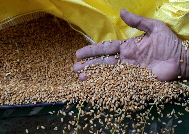 USDA coloca mercado de grãos em alerta após queda em Chicago